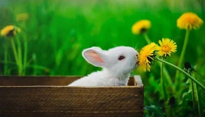 开云在线直播-皇马官宣新援加盟，姆巴佩转会大戏尘埃落定，曝皇马放弃今夏引进姆巴佩