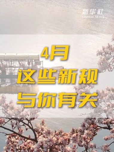 台球新规实施，比赛规则更公平透明