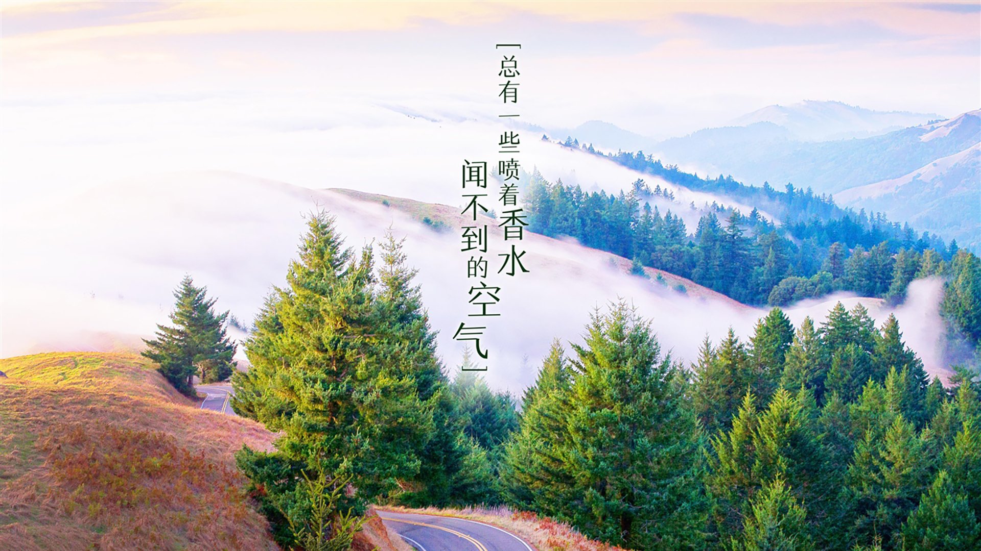 _高空跳伞表演：俯瞰城市的速度与激情_，高空跳伞体验价格