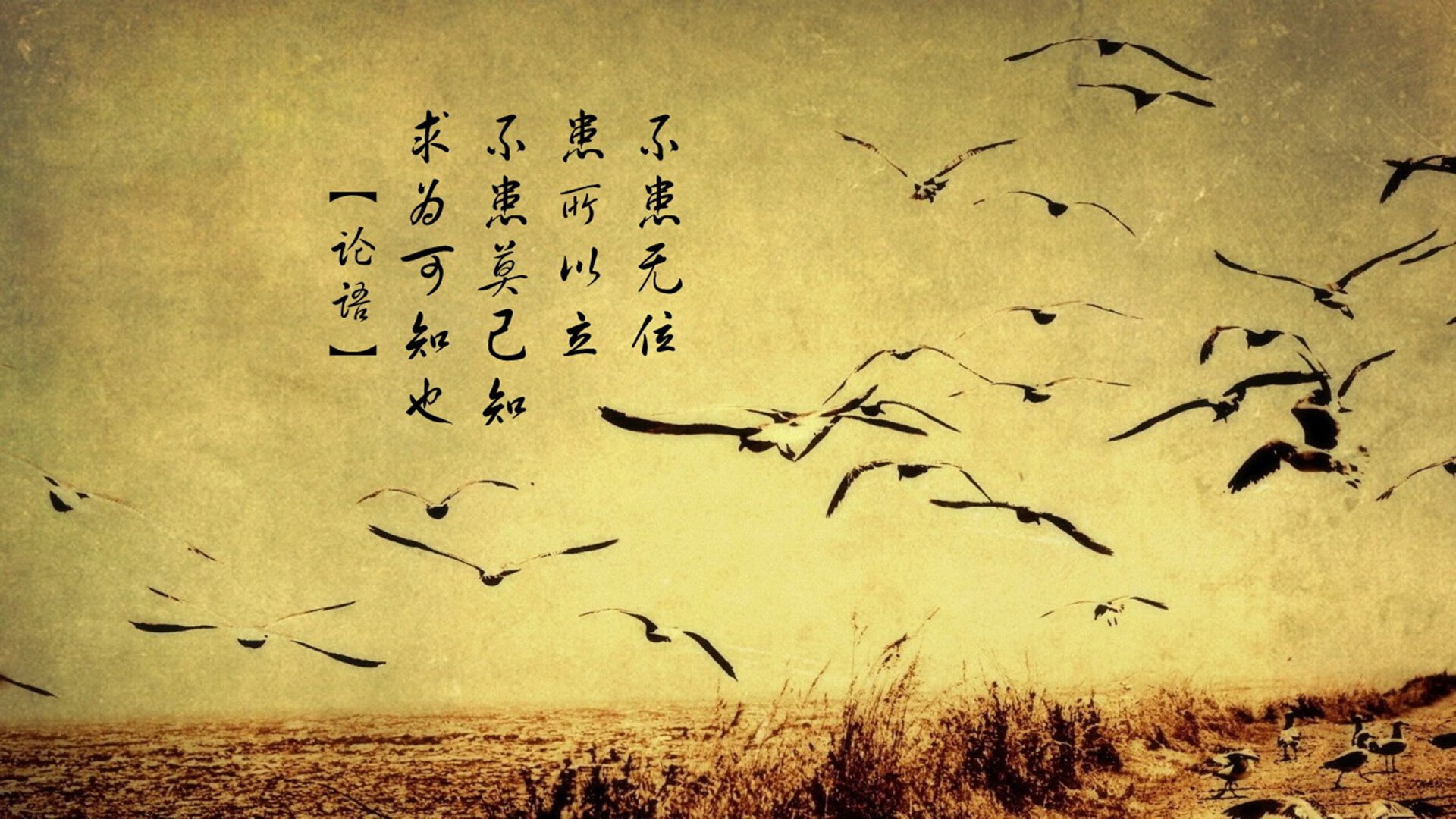 【战术风云】马克·塞尔比用防守反击扭转战局的实战技巧，马克塞尔比的球杆
