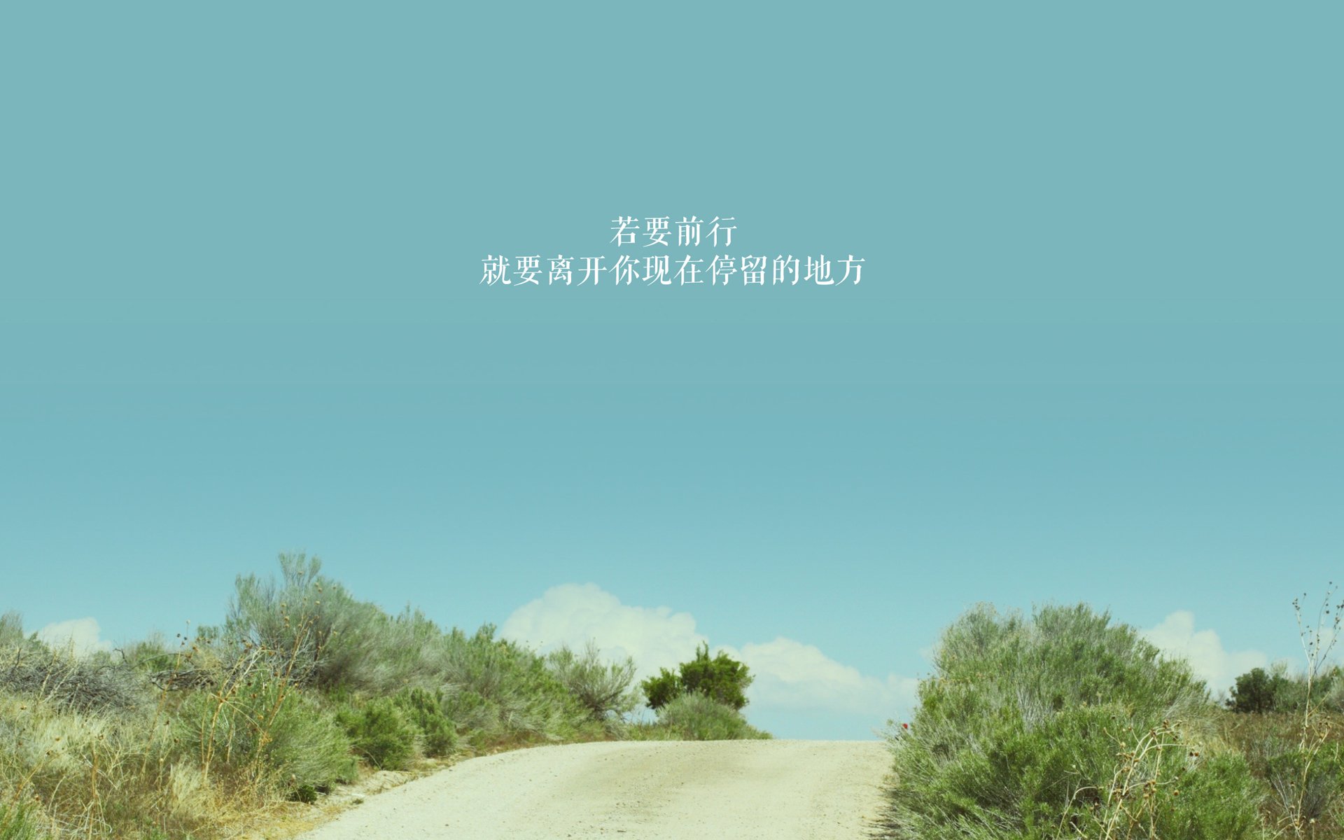 西班牙奥运主帅战术调整收奇效，西班牙奥运冠军