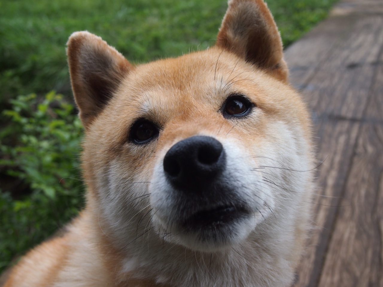 国家队战术理念是否落后于时代,国家队战术后仰