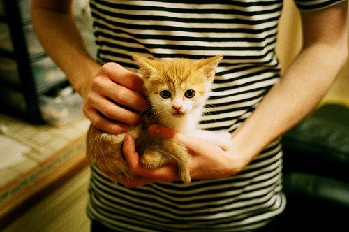 kaiyun登录入口-拜仁前场围抢断球能力远超博卡中场组织