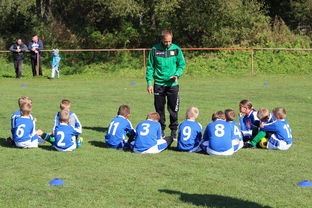 开云-欧洲杯总冠军之争：战术智慧与个人能力的较量，欧洲杯冠军百度百科