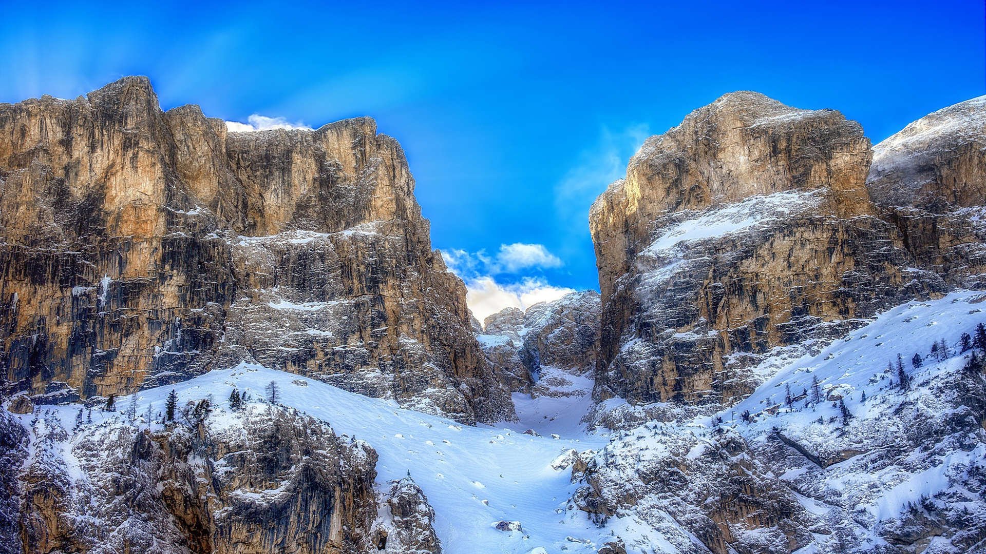 游泳选手技术标准化提升,逐步缩小差距,游泳选手是什么意思
