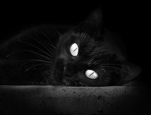 kaiyun中国官方网站-职业联赛注重提升裁判执法水平保障比赛公平公正，裁判执法能力