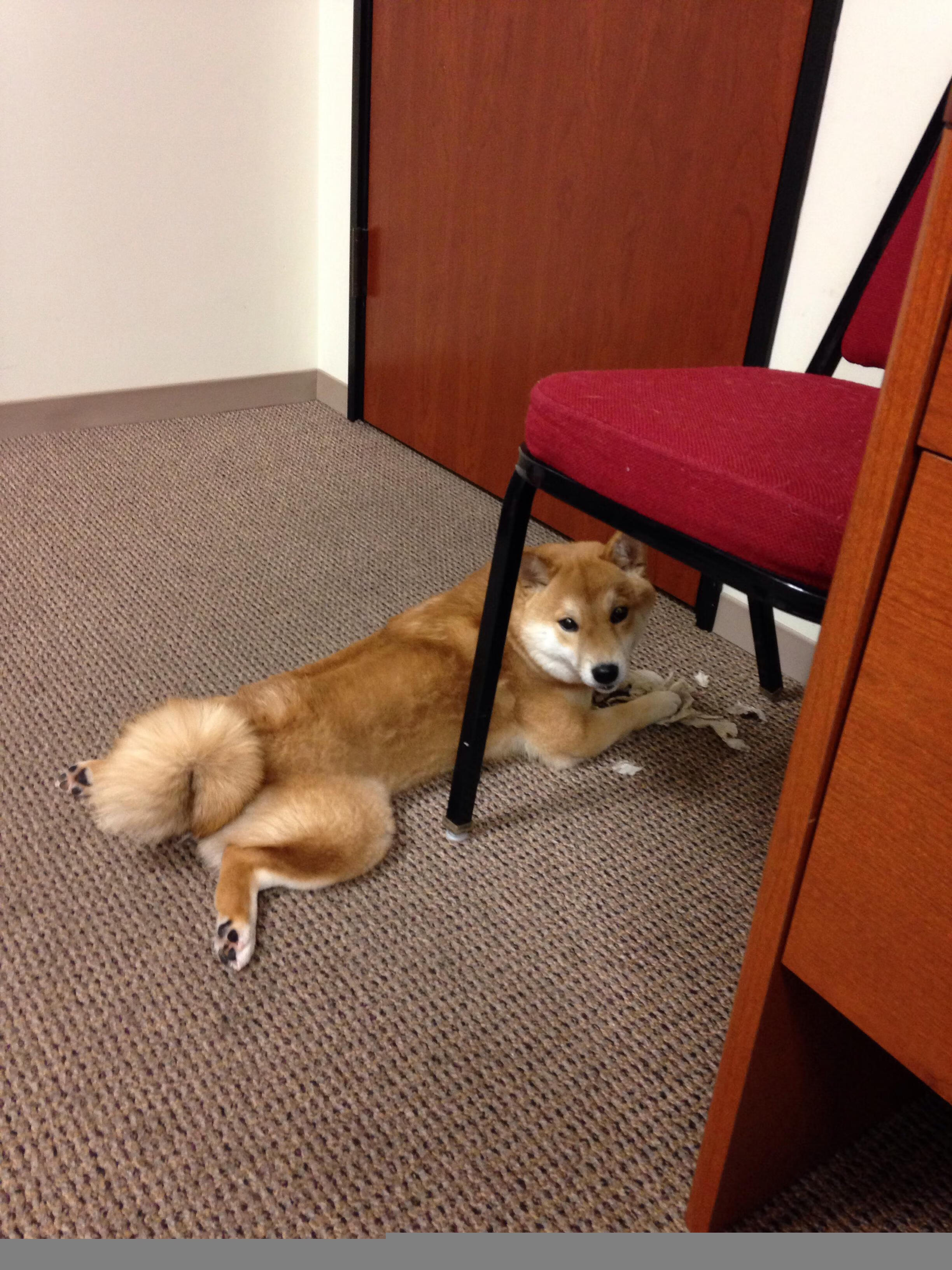 开云官方-英超数据库管理与分析工具升级，英超联赛数据统计