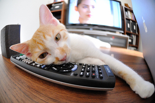 袋鼠队灵活多变的打法,持续增加赛场上不确定性,袋鼠组合