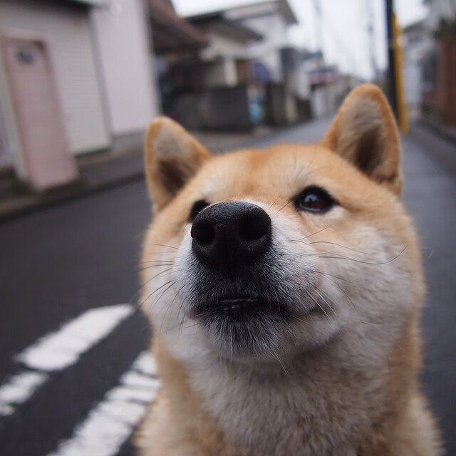 开云体育APP下载-西甲巅峰碰撞：战术创新中的经典时刻，西甲sporting