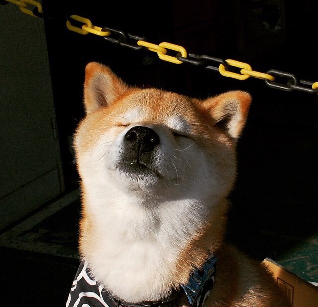 跨界合作打造足球主题的都市绿道,激活城市空间,足球道路