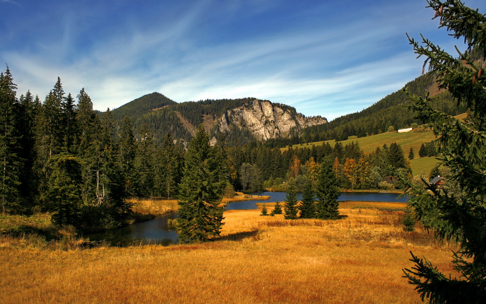 长泳新格局 梅尔滕斯立足欧洲顶端,梅尔滕斯男友