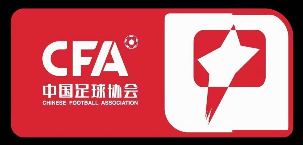 开云体育:中国足球协会管理体制改革：目标、方向与实施路径的简单介绍