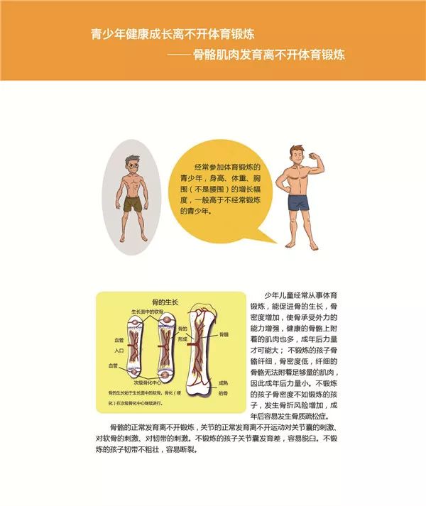 关于开云体育：聚焦青少年体育：如何培养未来的运动员的信息
